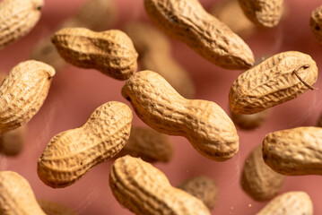 Peanuts in the shell.