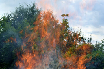 High flames on the background of trees and sky.