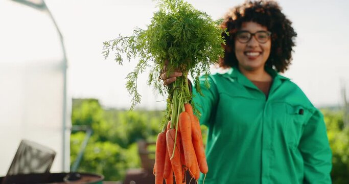 Farmer, woman and carrot in agriculture, greenhouse and farming for sustainability, grocery and gardening offer. Face of worker or supplier vegetables and food for ngo, nonprofit or business harvest