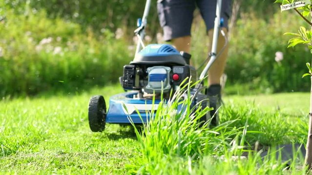 Lawn mower cutting grass. Small grass cuttings fly out of lawnmower. Grass clippings get spewed out of a mower pushed around by landscaper. CloseUp. Gardener working with mower machine. Mowing lawns	
