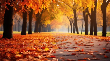 Fototapeten Beautiful autumn landscape with colorful foliage in the park © Veniamin Kraskov