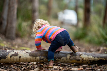 baby climbing a tree. toddler exploring in the forest in the trees