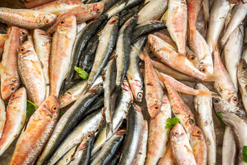 Sardines for sale, fish market in Palermo, Sicily, Italy. - obrazy, fototapety, plakaty