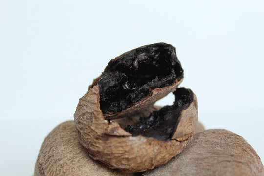 Inner part of dried seed of Pangium edule, spices in Indonesian cooking to make food become darker or black. Isolated on white background.