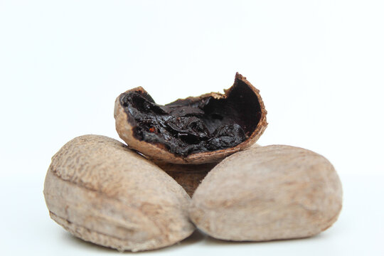 Inner part of dried seed of Pangium edule, spices in Indonesian cooking to make food become darker or black. Isolated on white background.