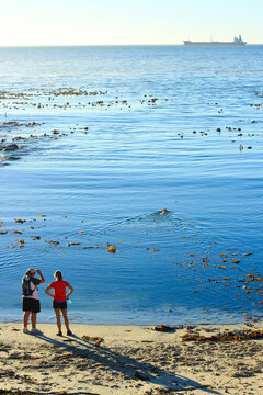 Cape Town, two women by the blue ocean