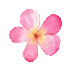Naklejka premium Watercolor Flower Illustration