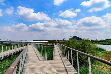 Fototapeta na wymiar Wooden walkway in the park with blue sky and white clouds. Landscape of Harbin Cultural Center Wetland Park. 