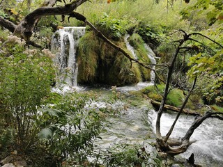 waterfall in the forest