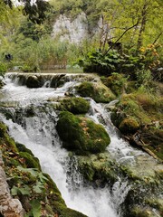 waterfall in the forest