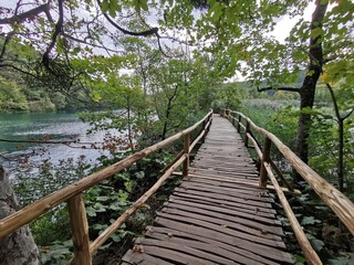wooden bridge in the forest