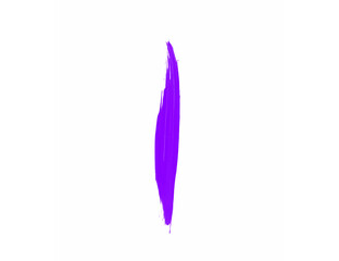 Purple watercolor brush on white background for draw