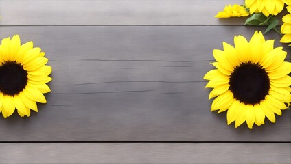 Gray Wooden Planks with Sunflower Blooms. Gray Background with Empty Space and Sunflowers.