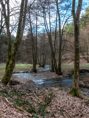 A landscape in late fall with a little creek that wiggles around some trees and a meadow and forest in the background