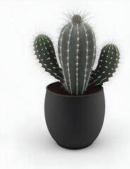 cactus in a black flowerpot generated ai