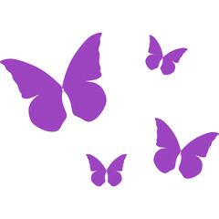 Butterfly Minimalist Boho