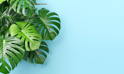 Tropical monstera leaves on a pastel blue background. Created by generative AI