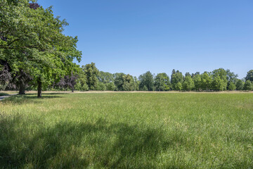 green glade at urban park, Stuttagrt, Germany
