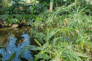 Fata-Morgana greenhouse in the Lednicko-Valtické area in Moravia, tropical plants