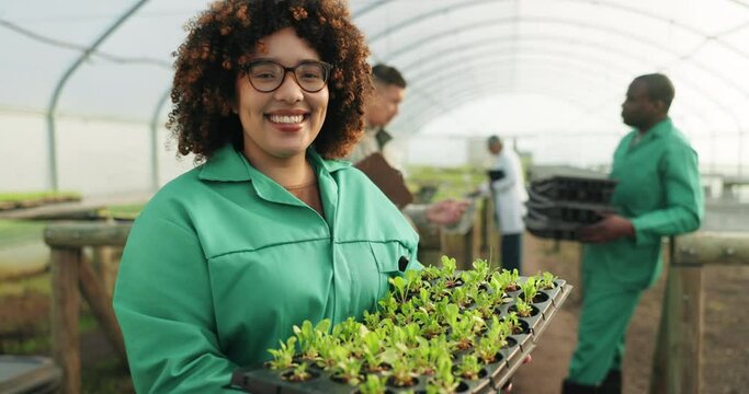 Woman, tray and seedlings in greenhouse, agriculture or vegetable with face, farming or sustainability. Farmer, irrigation and care for leaves, garden or health of crops, plants or portrait for agro