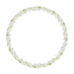 Watercolor frame of white calla lily flowers. Hand drawn floral wreath for wedding invitations, floristic, beauty salon. Isolated composition of tropical water arum. Botanical art for label, packing