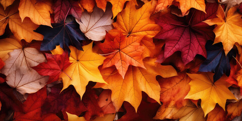 Naklejka na ściany i meble Autumn Leaves Abstract Background