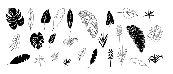 Tropical Leaves in doodle style. Vector hand drawn black bptanical design elements. Monstera leaves, palm, banana leaf.