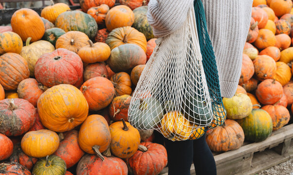 Young woman with mesh shopping bags choosing pumpkins at farm shop.