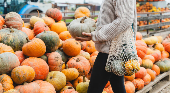 Young woman with mesh shopping bags choosing pumpkins at farm shop.