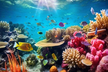Fototapeten Colourful fish swimming in underwater coral reef landscape. Deep blue ocean with colorful fish and marine life. © MNStudio