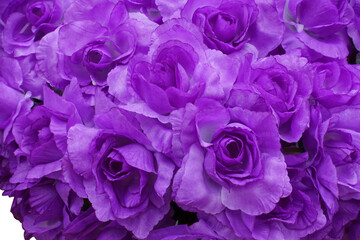 Artificial Purple flower pot isolated on white background,Flower texture background 