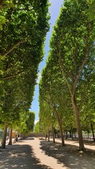 Obraz premium France Paris