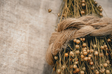 A plaited braid made of raw flax fiber. Dried pods of flax. Linen canvas background. Decor. Copy space. 