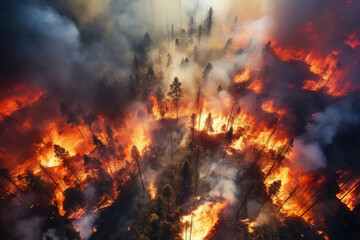 Wildfire, unplanned, uncontrolled and unpredictable fire in an area of combustible vegetation, aerial drone view.