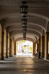 Obraz premium arches of the cathedral of st mary country