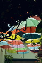 Fototapeta na wymiar landscape with umbrellas