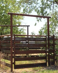 Fototapeta na wymiar Old Cow Stalls