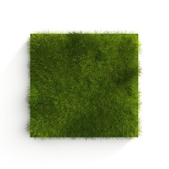 Green grass isolated on white background. 3D illustration. 