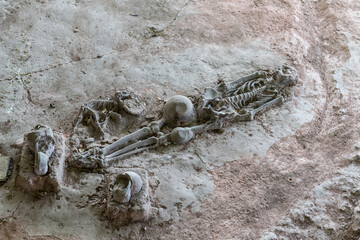 Human and dog skeletons with Dvaravati period items discovered in Si Thep Historical Park, Phetchabun Province, Thailand.