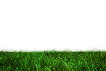 Digital png illustration of green grass on transparent background