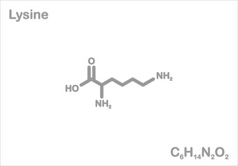Lysine. Simplified structural formula. 