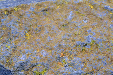 Texture of the stone. Young moss has grown on a stone