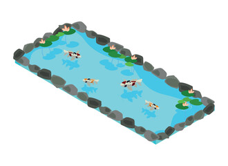 Rectangular isometric pond with carps and water lilies in Japanese style.Vector illustration isolated on white background.