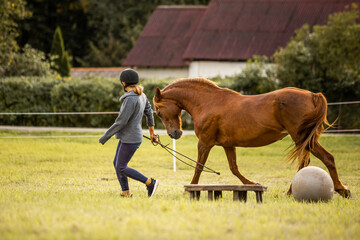 Young teenage girl is practicing riding a horse