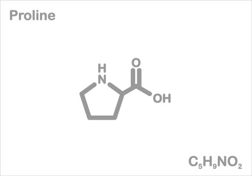 Proline. Simplified structural formula. 