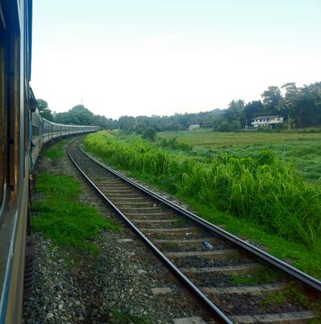 railway in the field