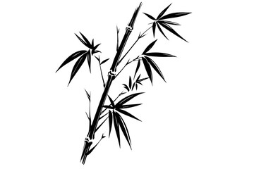 Hand drawn ink sketch of bamboo leaves and branches. Vector illustration.