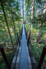 Fototapeta na wymiar Capilano Suspension Bridge Park in Vancouver, BC
