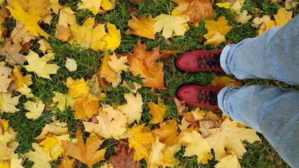 Feet in red boots and blue jeans on a background of yellow leaves top view