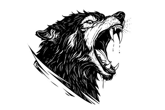 recommend clip art: Angry wolf head hand drawn ink sketch. Engraving vintage style vector illustration. Design for logotype, mascot, print.